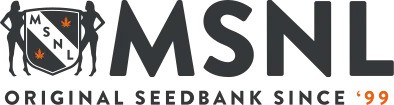 msnlseeds.com MSNL logo