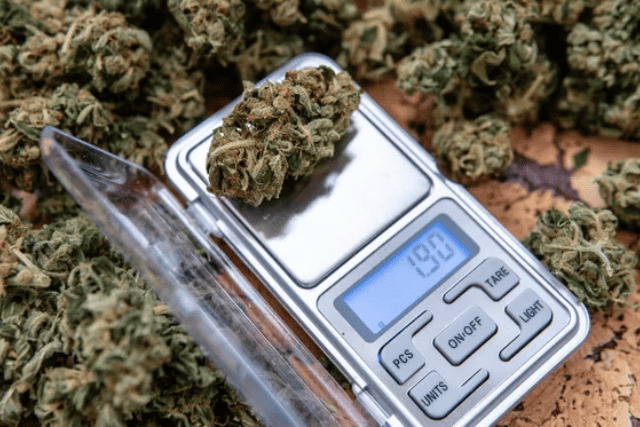 weed measurements - featured image