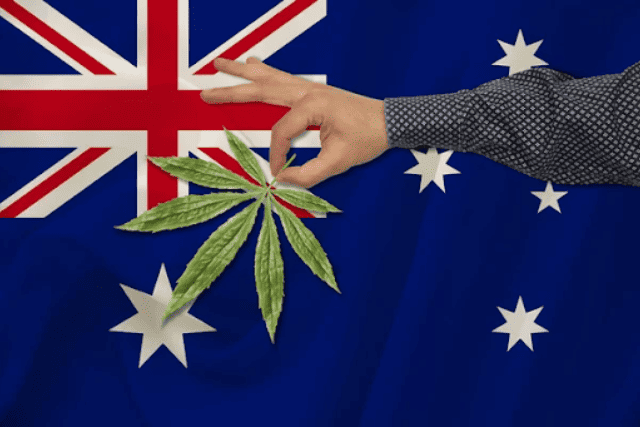 australia seeds - featured image
