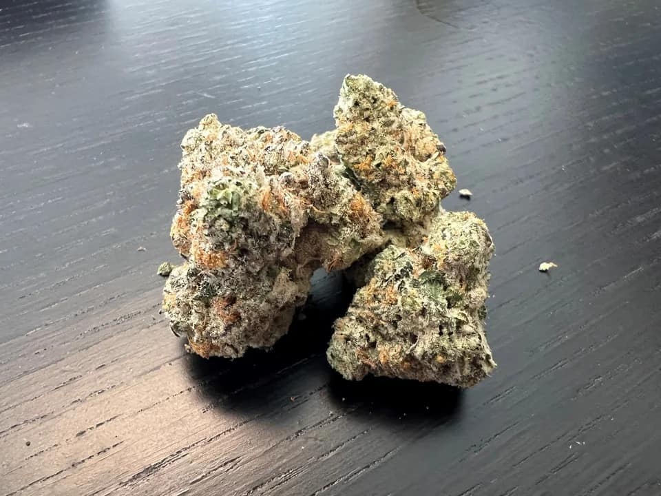 georgia pie strain - featured image