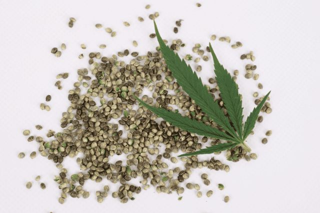 best indica seeds - featured image