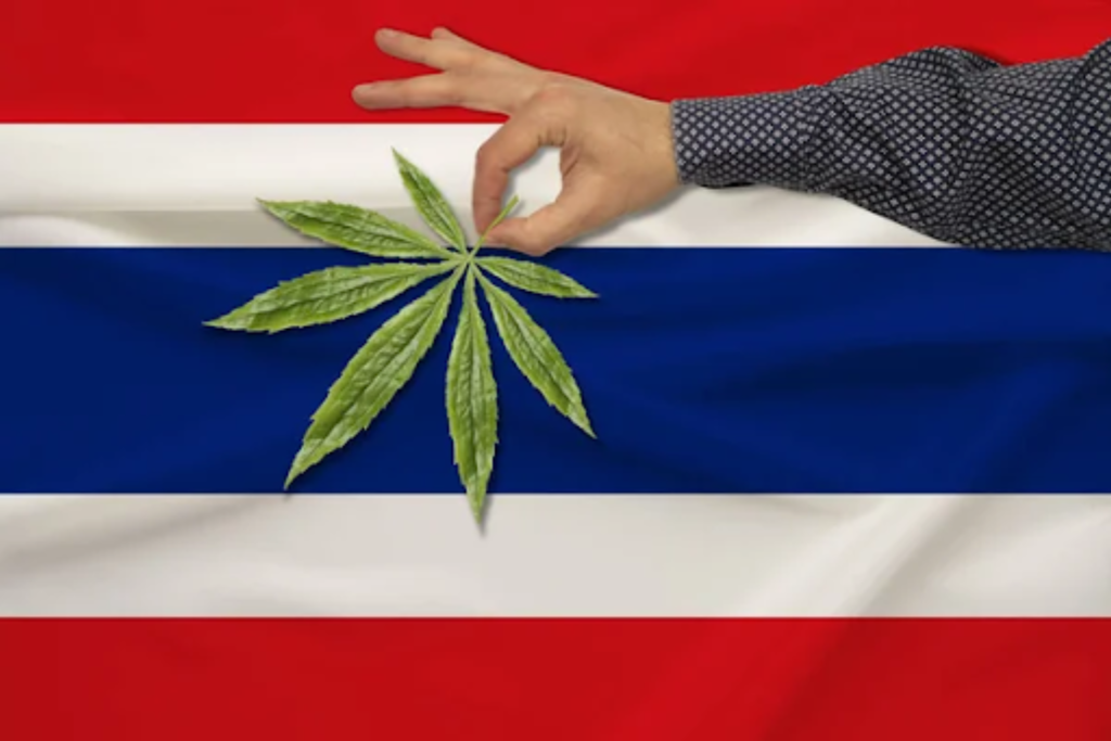 marijuana seeds in Thailand - featured image