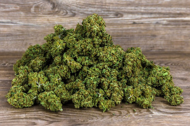 bunch of cannabis - featured image