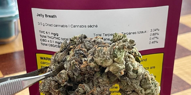 Jelly breath strain