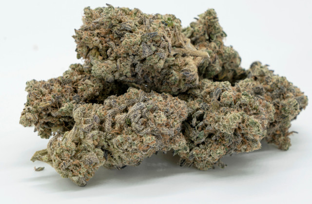 tiger blood strain - featured image