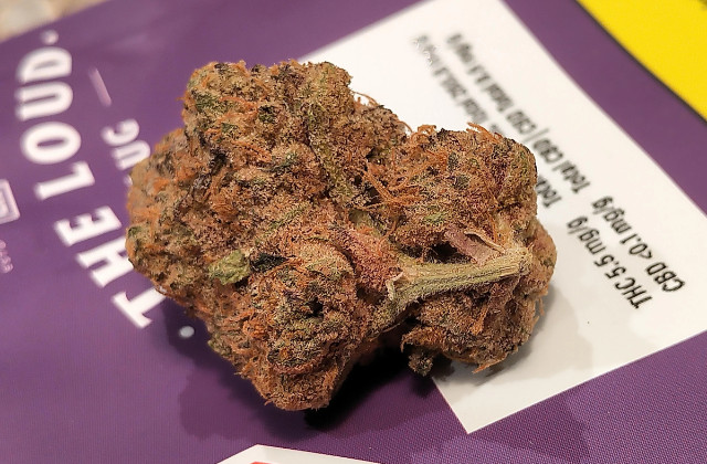 exotic gas - featured image