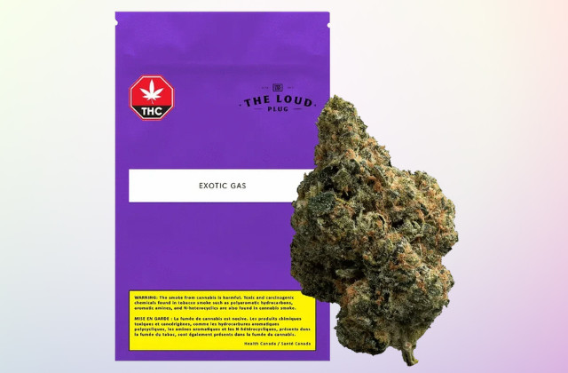 exotic gas package