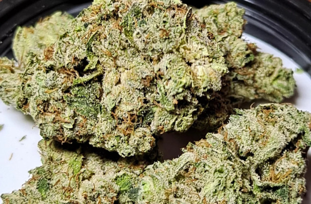 GG4 Auto - VT