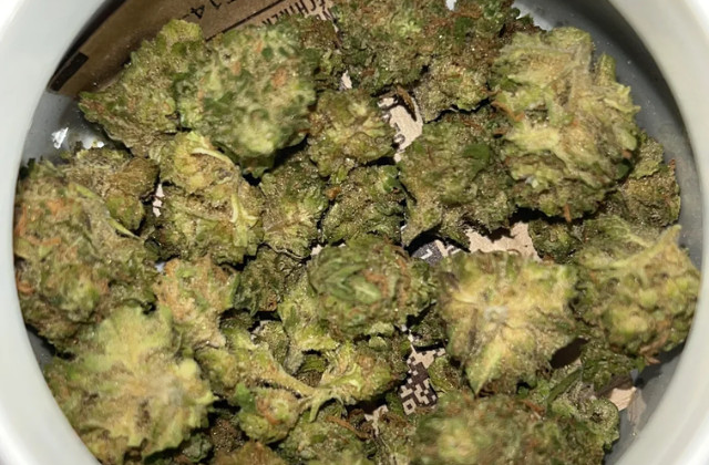 Sugar Black Rose