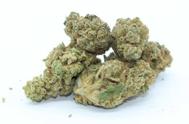 alien cake - featured image