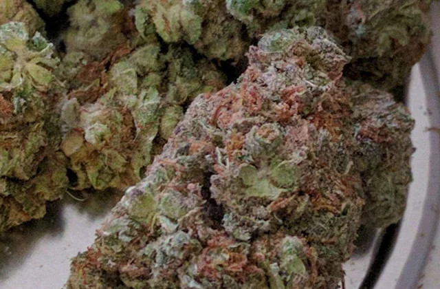 critical mass - reddit
