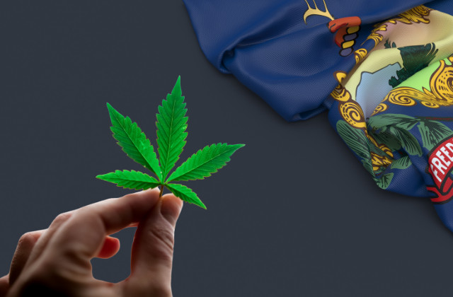 where to buy in VT - featured image