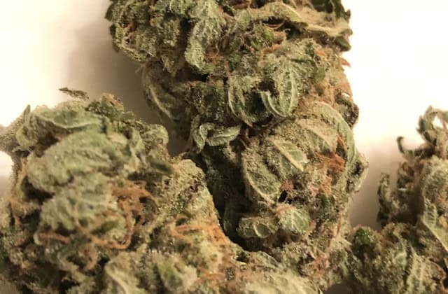 durban poison