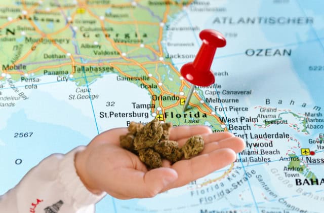 where to buy in FL - featured image