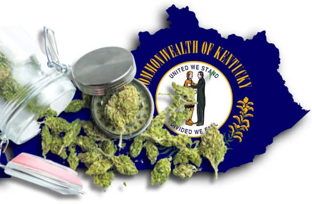 where to buy in KY - featured image