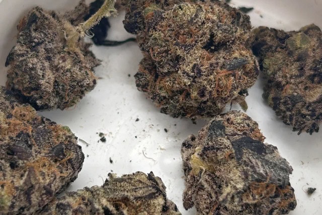 flapjacks strain - featured image
