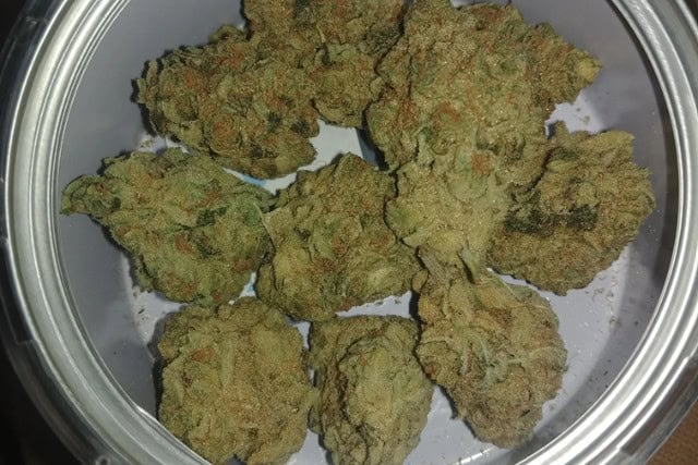 godfather og - colorado