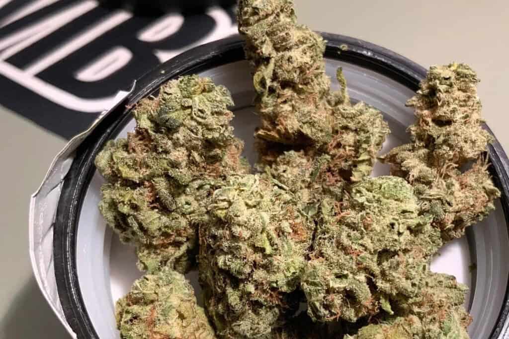 Northern Lights - LA