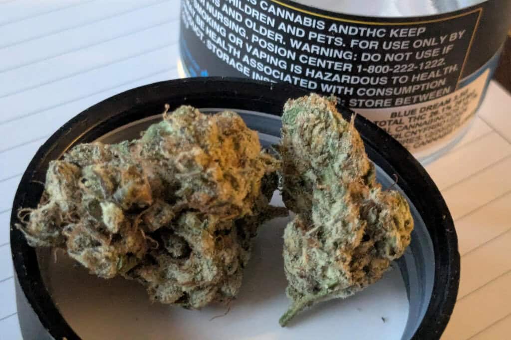 Blue Dream - IN