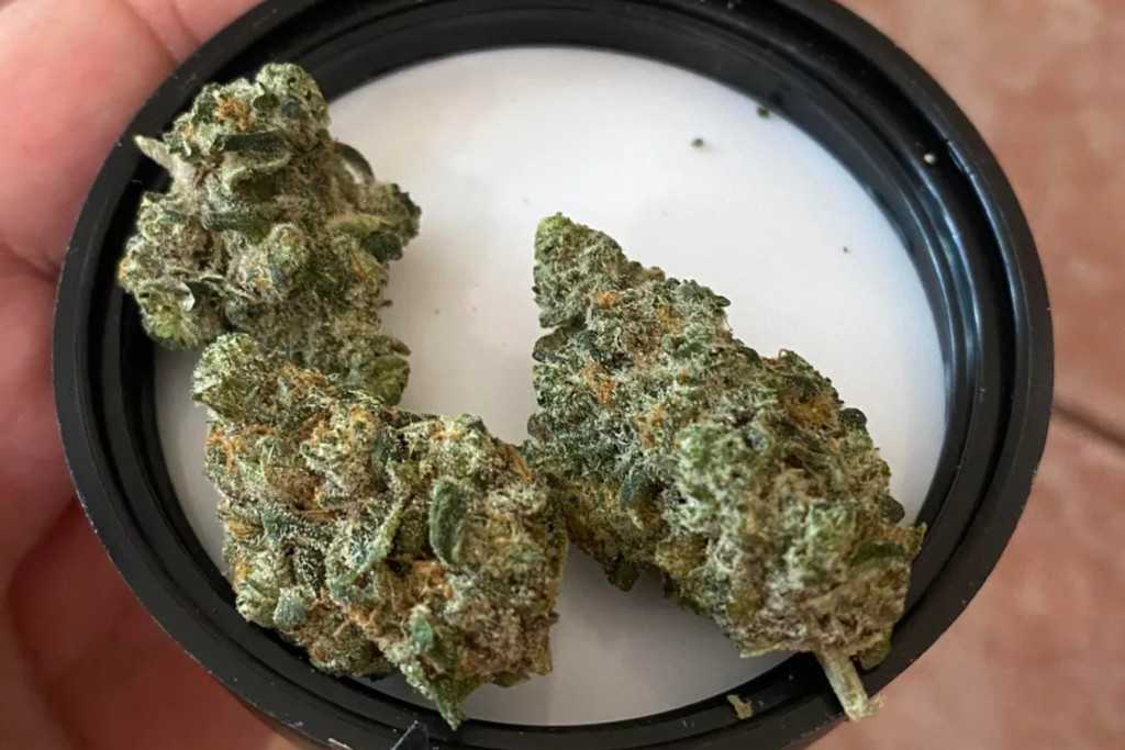 Sunset strain